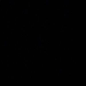 Meet your Posher, Ella